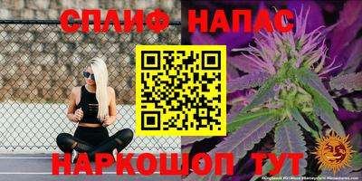 jwh Будённовск