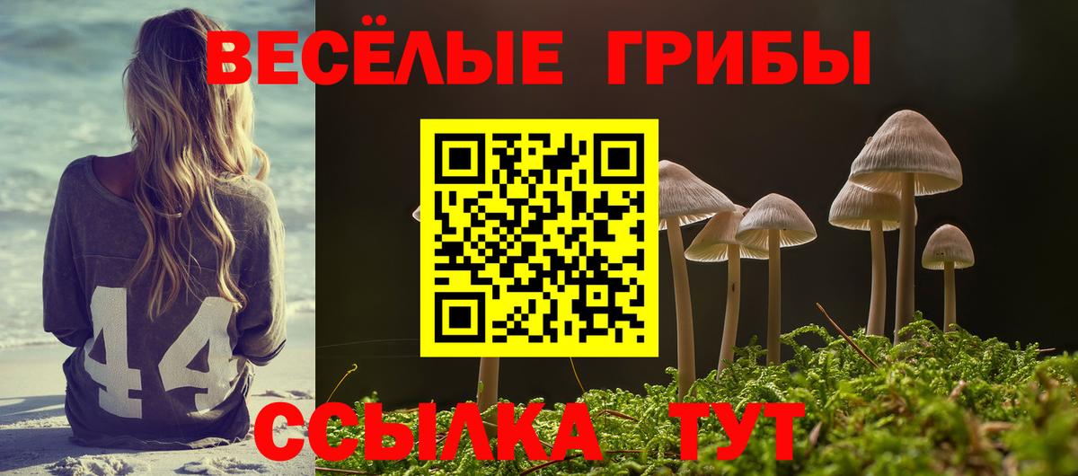 Псилоцибиновые грибы Magic Shrooms  Вход с VPN  где можно купить наркотик  Озёрск 